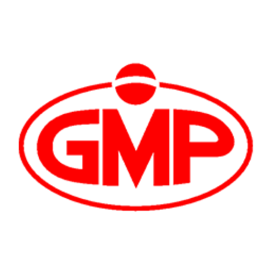 GMP — mașini profesionale de călcat